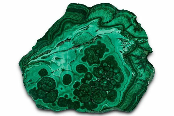 Flowery Polished Malachite Slab - DR Congo #350817